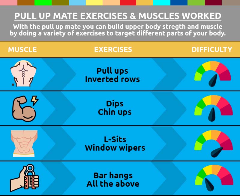 Pull up mate exercises infographic