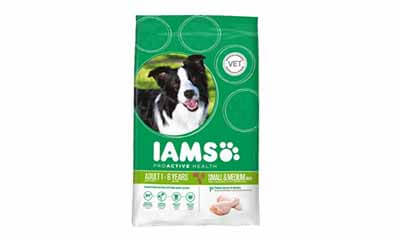 Free IAMS Proactive Dog Food