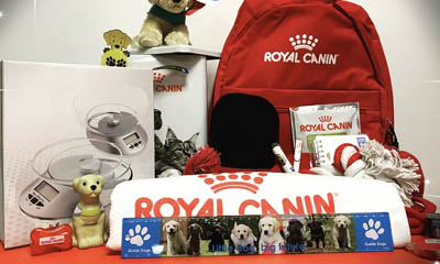 Win Doggy Gifts with Royal Canin
