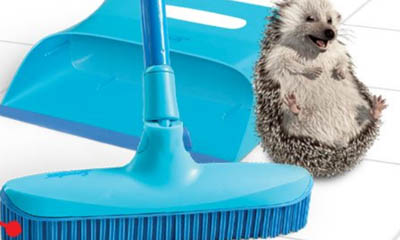 Win a Spontex Catch & Clean Rubber Broom & Dustpan Set