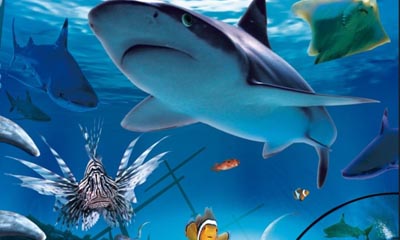Win a family ticket to a Sea Life Centre