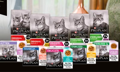 Free Cat food from Purina