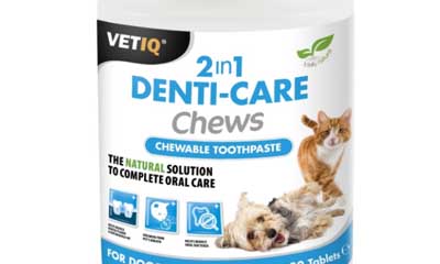 Free VetIQ 2in1 Denti-Care Granules