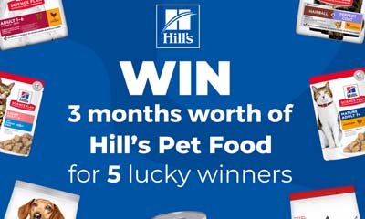 Win 3 Months Worth of Hill's Pet Food