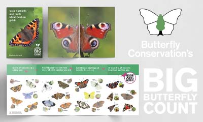 Free Big Butterfly Count Guide Book