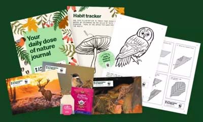 Free Tea Bags & Nature Activity Pack