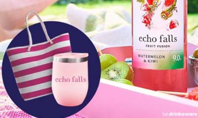Free Echo Falls Picnic Kit