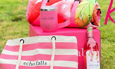 Free Echo Falls Summer Picnic Kits