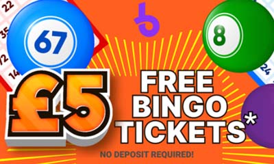 Free £5 Online Bingo Ticket - No Deposit Need!