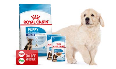 Free Royal Canin Puppy Sample Kit