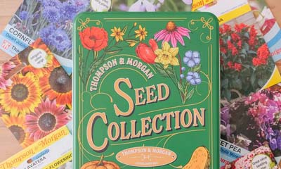 Free Flower Seeds and Tin