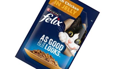 Free Purina Felix Chicken in Jelly Cat Food